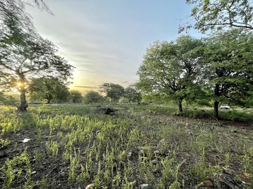 Residential Land