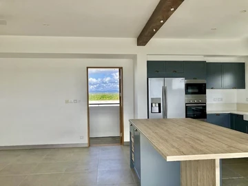 3 Bedroom Penthouse