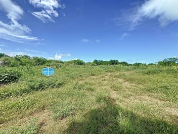 Terrain