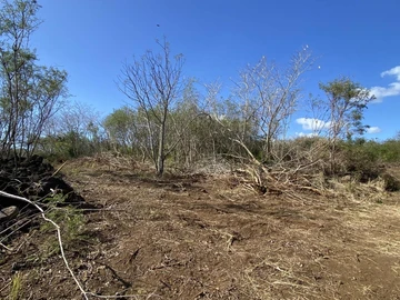 Agricultural Land