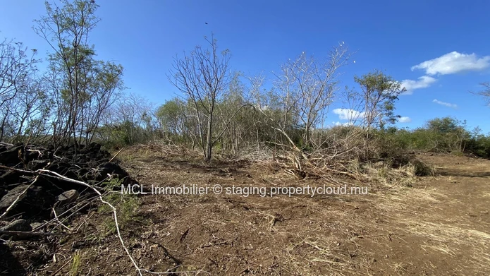 Terrain agricole d'un arpent à vendre à Anse la raie