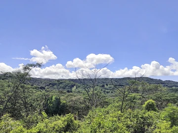 Terrain