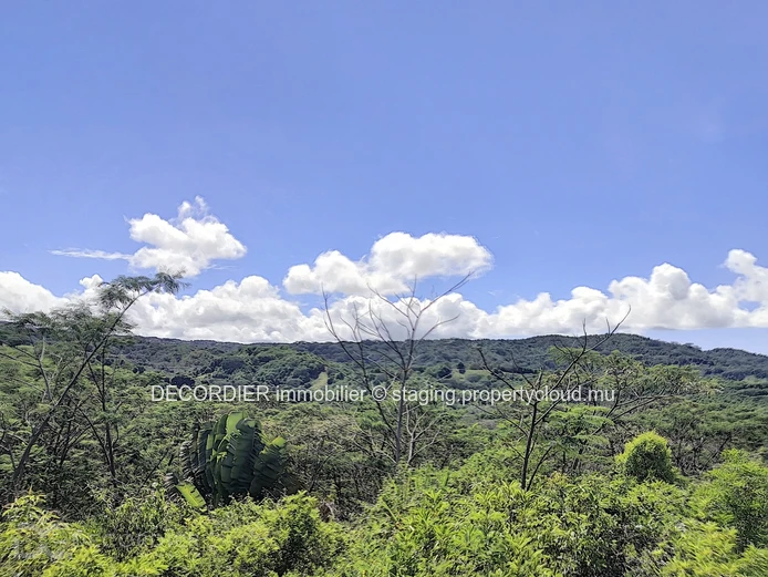 Terrain agricole de 464.62 arpents en vente de Quartier de la savanne à Chamarel