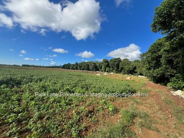 Opportunité d'Investissement d'exception : Terrain agricole stratégiquement situé à Valentina.