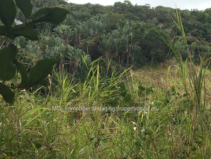 Terrain agricole de 9 arpents 42 perches  à Anse Jonchée