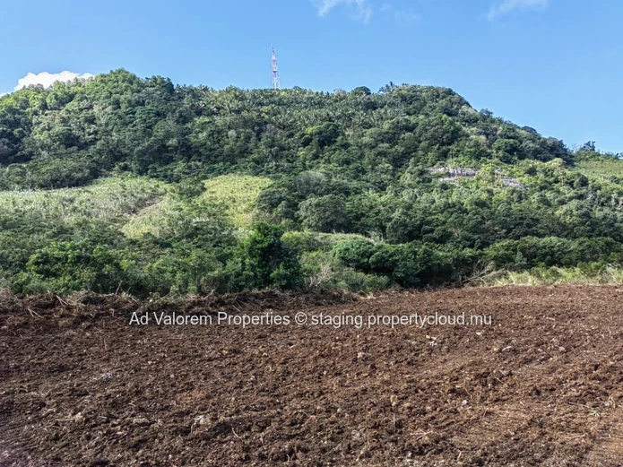 Grand Terrain Agricole à Vendre – Martinière, Surinam – Vue Panoramique & Cadre Naturel