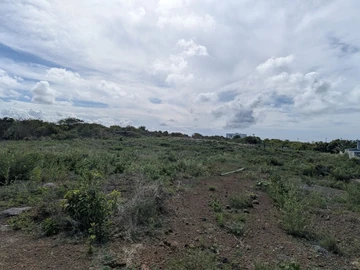 Residential Land