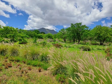 Residential Land