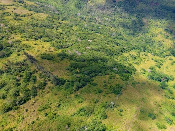 Agricultural Land