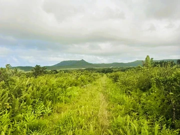 Agricultural Land