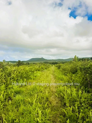 Agricultural Land For Sale In Bois Cheri