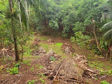 Land