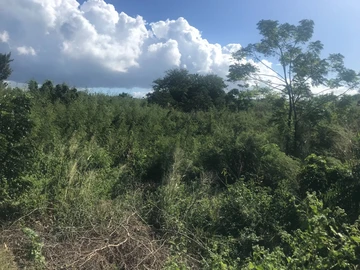 Residential Land