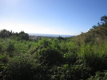 Terrain