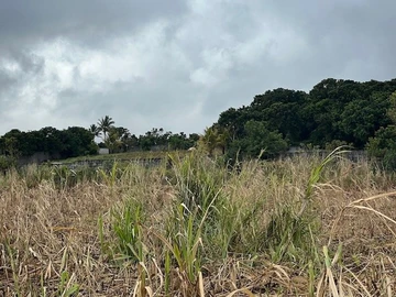 Agricultural Land