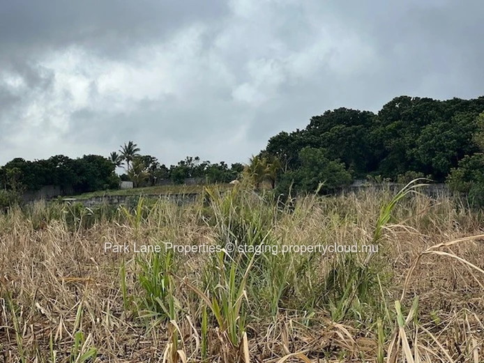 Potentiel de Transformation : Terres Agricoles de Trianon Près de l'Autoroute vers Verdun