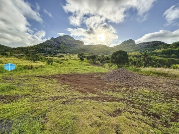 Terrain