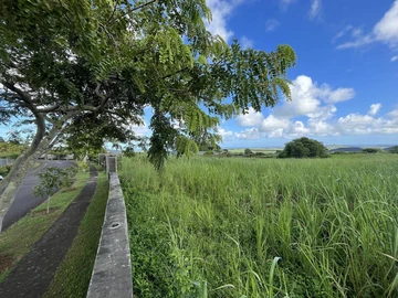 Land