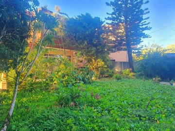 Terrain
