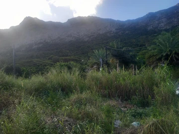Residential Land