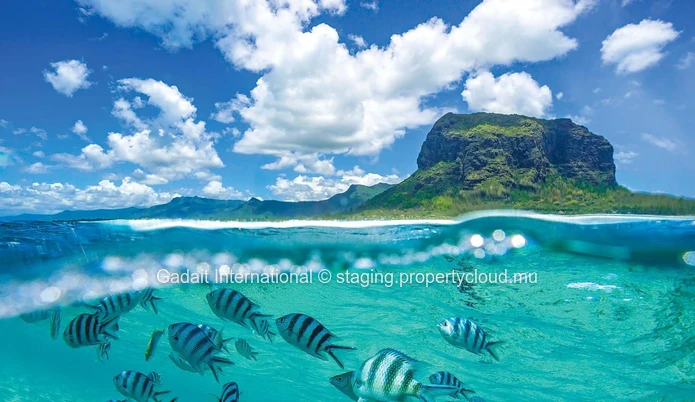 Villa with pool, sea view, and golf course access | Black River, Mauritius