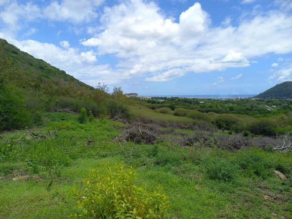 Residential Land