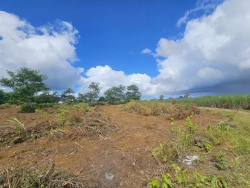 Agricultural Land