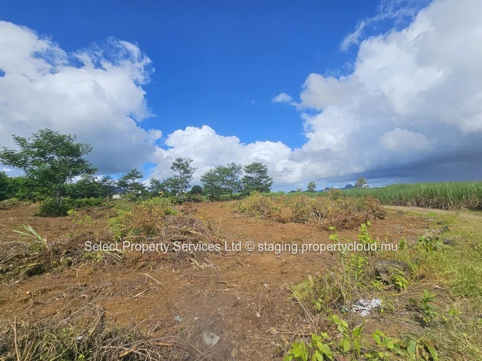 Agricultural Land for Sale - Morcellement - Montagne Blanche