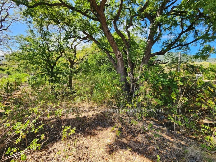 À vendre, terrain spacieux dans un quartier paisible de l’Ouest
