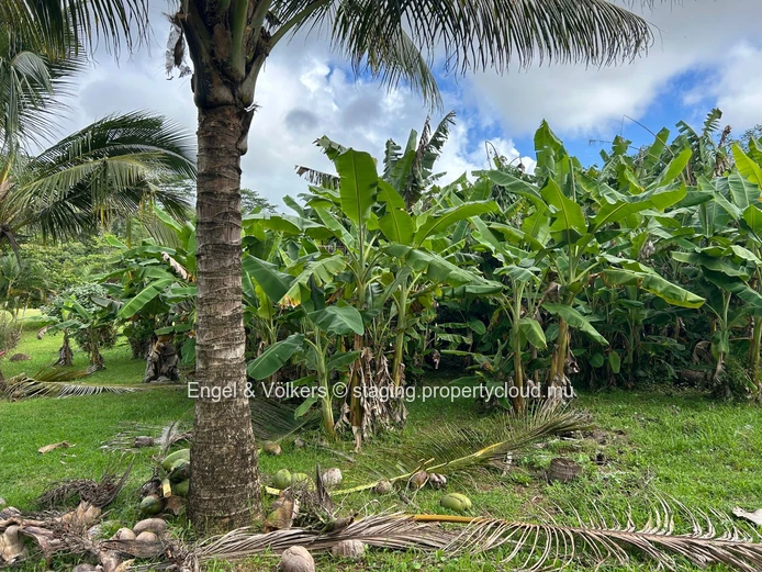 Commercial Land for Sale in Montagne Blanche — A Unique Investment Opportunity