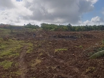 Terrain Agricole