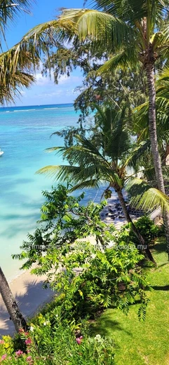 A vendre a Pereybere magnifique dernier etage en front de mer