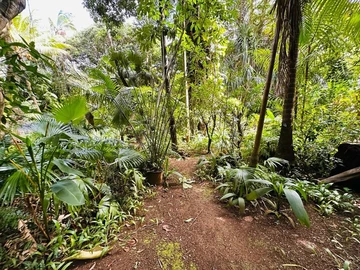 Residential Land