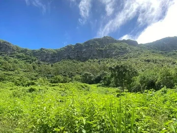 Agricultural Land