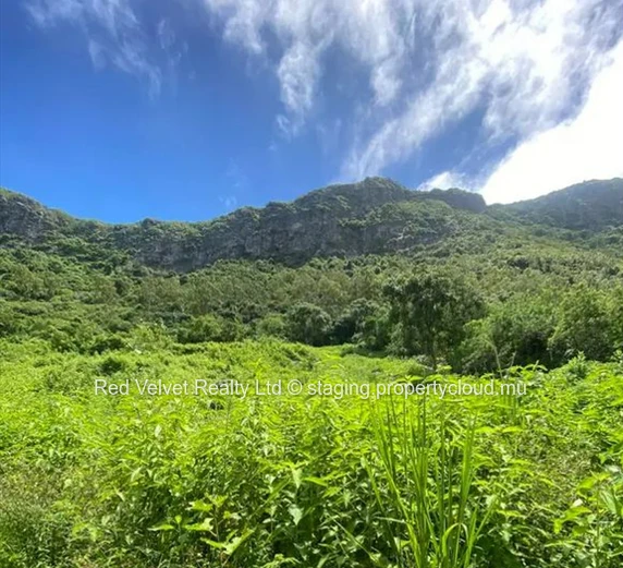 Terrain à vendre à Montagne Ory, Moka, Île Maurice!