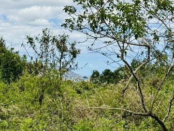 Agricultural Land