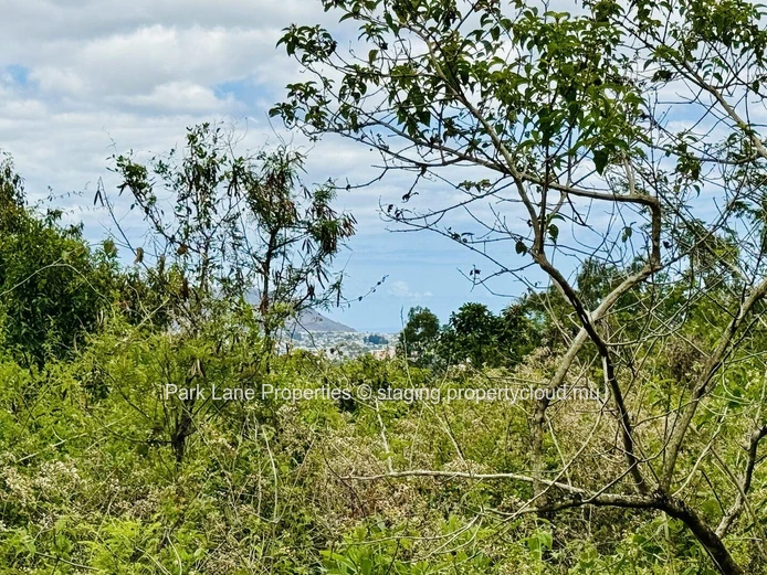 Terrain agricole à vendre à Moka