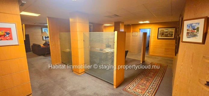 Découvrez cet élégant bureau climatisé et non meublé de 360 m2, idéalement situé en plein cœur de Port Louis