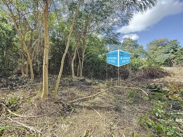 Land
