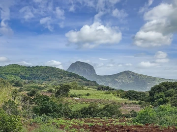 Land
