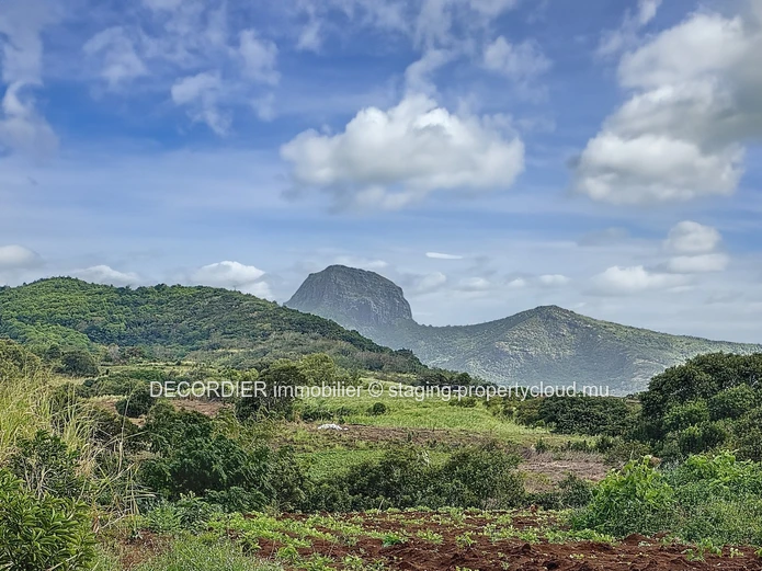Opportunité à saisir à Pamplemousses – Terrain de 4221 m²