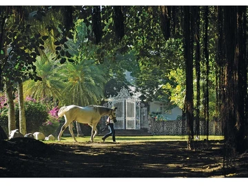 Villa de 3 Chambres