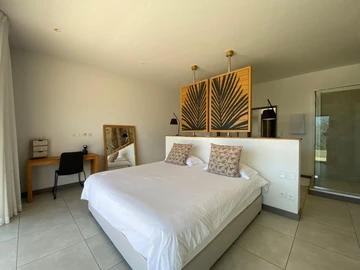 4 Bedroom Penthouse