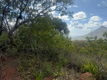 Residential Land