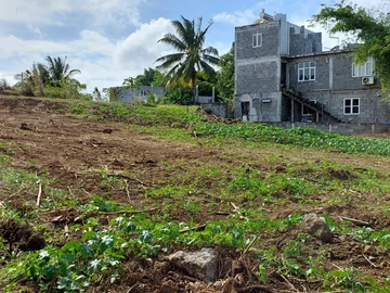 Terrain