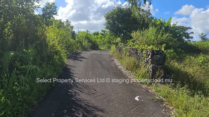 Agricultural Land for Sale - Morcellement - Montagne Blanche
