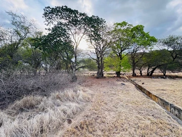 Residential Land