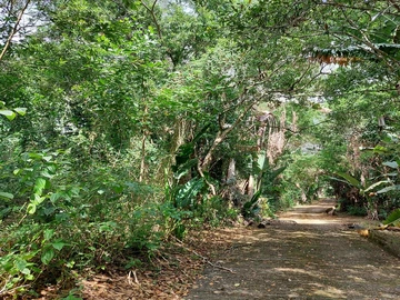 Agricultural Land