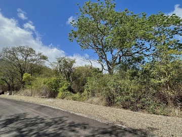 Residential Land