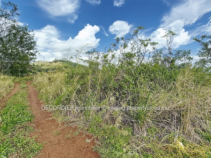Opportunité à saisir à Pamplemousses – Terrain de 4221 m²